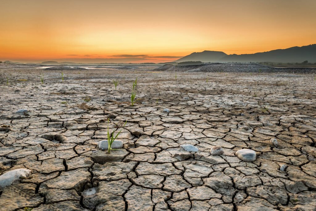 Trockenrisse am Grund des Forggensees im gelborangen Morgenlicht – Fotokunst von Roland Seichter.