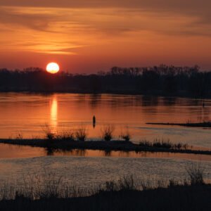 Das Wandbild Elbeufer Sonnenuntergang zeigt die glühende Sonne direkt über dem Horizont, die einen goldenen Lichtweg auf der ruhigen Wasseroberfläche bildet