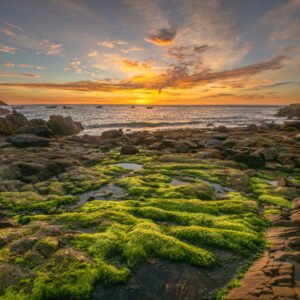 Das Wandbild Sonnenaufgang zeigt eine zerklüftete Küstenlandschaft mit leuchtend grünen Algen im Vordergrund unter einem dramatisch gefärbten Morgenhimmel