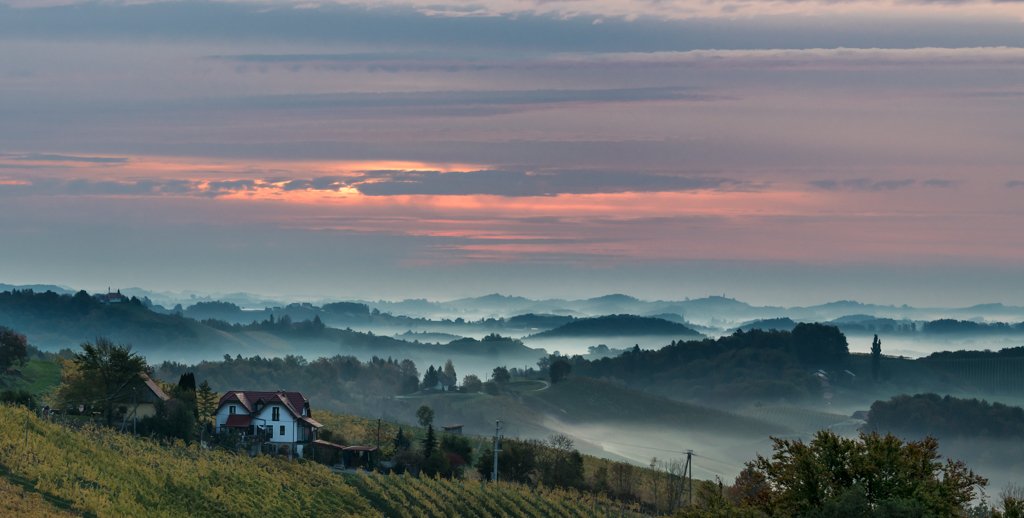 Das Wandbild Sonnenaufgang in der Steiermark zeigt eine weite Panorama-Ansicht herbstlicher Weinberge im ersten Morgenlicht mit sanften Nebelschleiern in den Tälern.