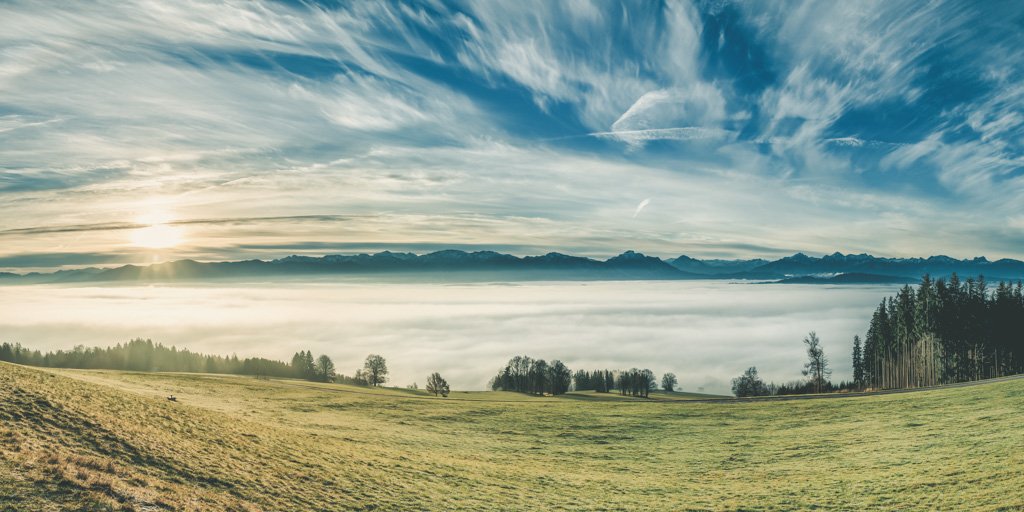 Das Wandbild Allgäuer Alpenblick zeigt eine weite Sicht über eine grüne Wiese auf ein dichtes Nebelmeer, aus dem im Hintergrund die markante Kette der Allgäuer Alpen unter einem dramatisch bewölkten Himmel hervorragt.