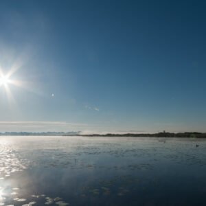 Das Wandbild Am Federsee zeigt eine weite Wasserfläche mit Seerosenblättern unter einer strahlenden Sonne an einem klaren Morgen.