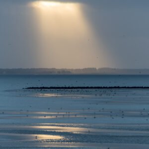Das Wandbild Das Loch im Himmel zeigt eine weite Küstenlandschaft im Wattenmeer bei Ebbe, über der ein markanter Lichtstrahl durch eine dunkle Wolkendecke bricht und auf die sandigen Flächen und Vögel am Wasser fällt.