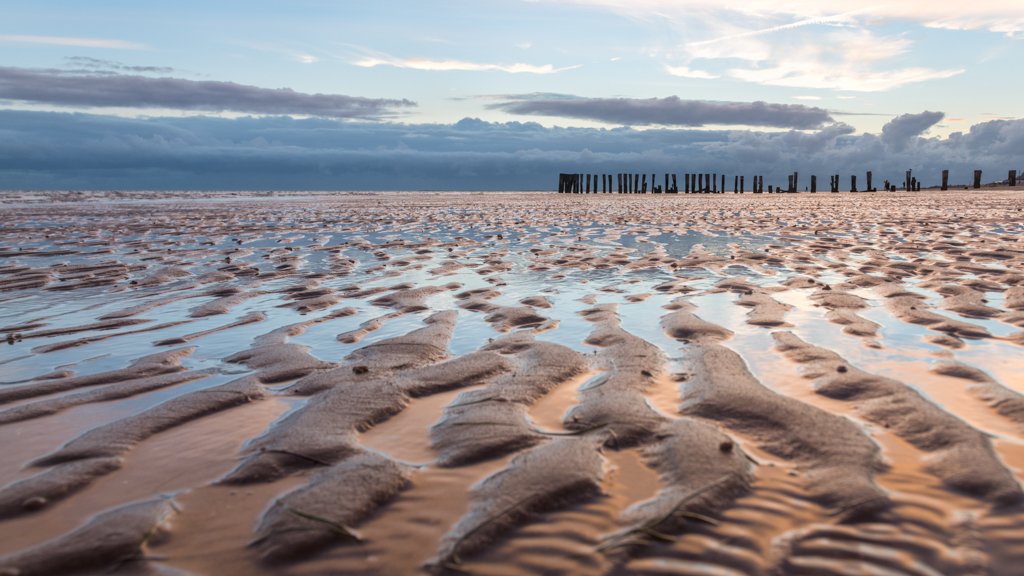 Das Wandbild Watt voraus zeigt die charakteristischen Wellenstrukturen im Sand bei Ebbe unter einem weiten Himmel mit einer Holzpfahl-Reihe am Horizont