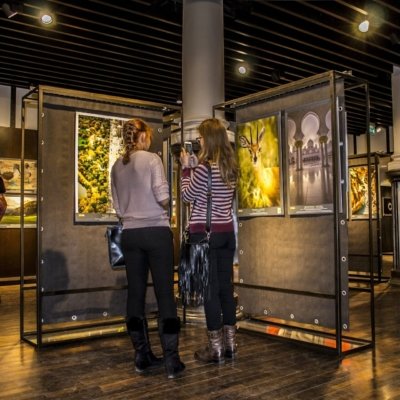 Roland Seichter Fotografie - 100 Wonders Bild 9