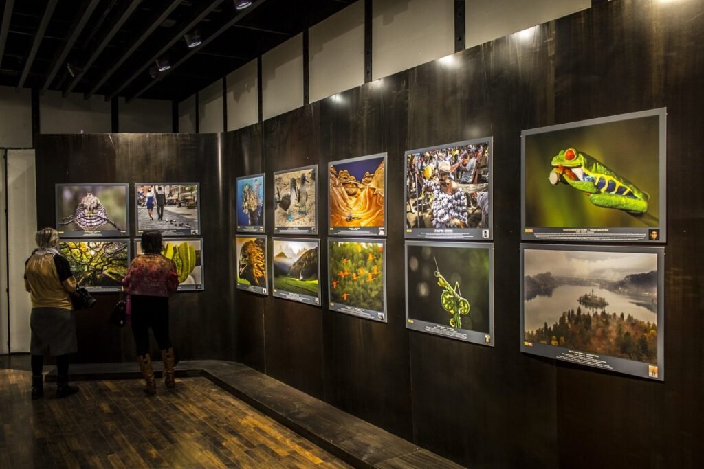 Roland Seichter Fotografie - 100 Wonders Bild 8