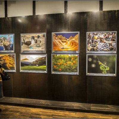 Roland Seichter Fotografie - 100 Wonders Bild 6