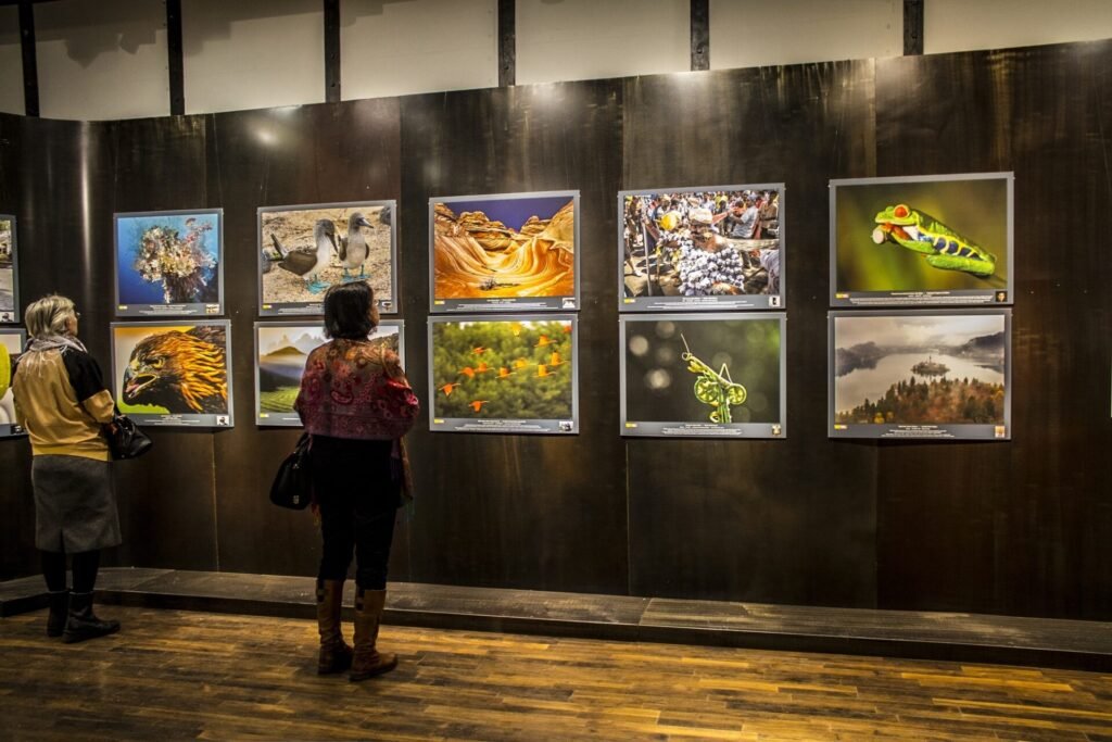 Roland Seichter Fotografie - 100 Wonders Bild 5