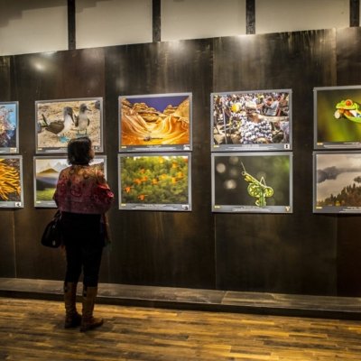 Roland Seichter Fotografie - 100 Wonders Bild 5