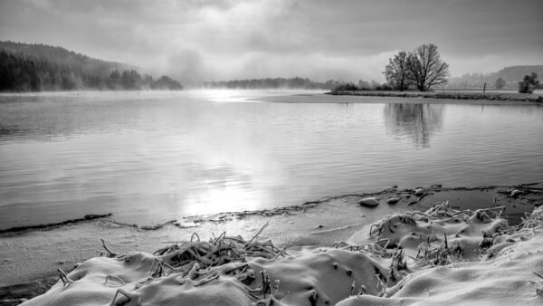 Winter am Bachtelsee bei Kaufbeuren: Verschneites Ufer mit Gräsern und Dunst im Vormittagslicht von Roland Seichter.