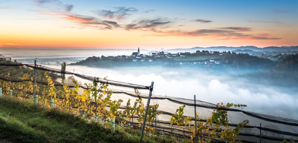 Herbstliche Weinberge in der Steiermark mit Dorf und Kirche im Morgenlicht von Roland Seichter.
