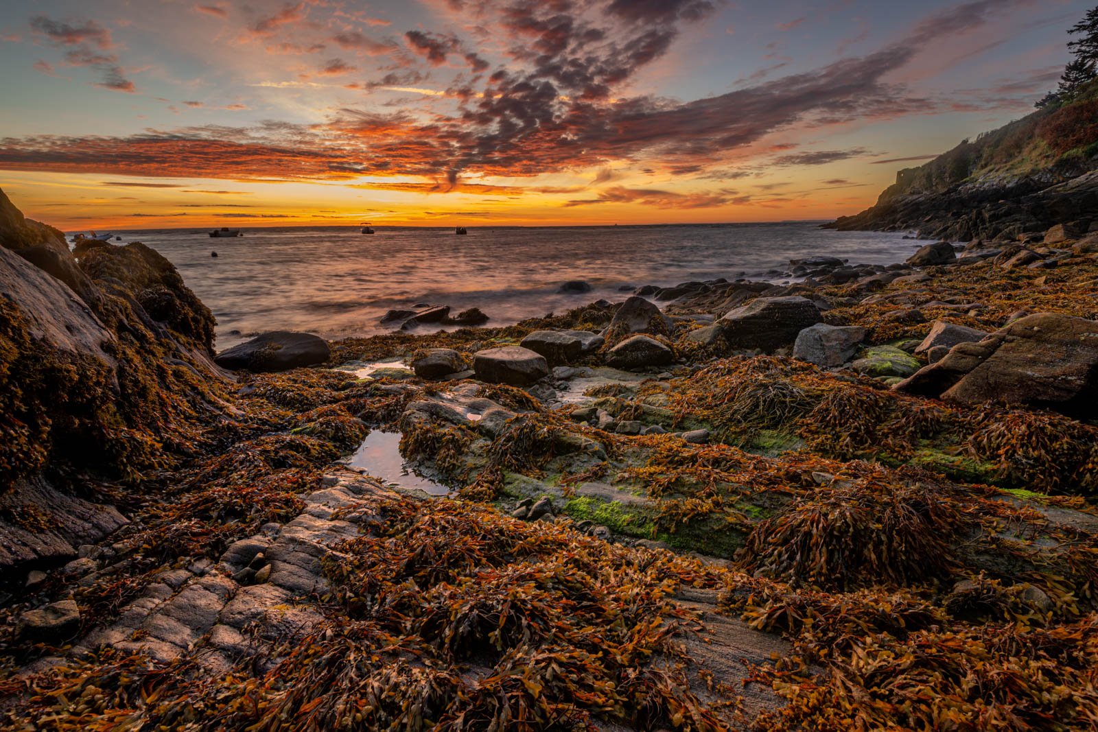 Entwickelte Fotokunst: Sonnenaufgang am Meer mit leuchtend roten Wolken und detailreichen Algen im Vordergrund.