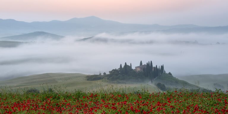 Das Landgut Podere Belvedere in der Toskana, umhüllt von dichtem Morgennebel mit roten Mohnblumen im Vordergrund, das Titelbild für mobil.