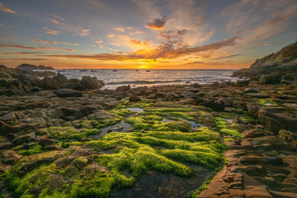 Gelbes Sonnenaufgangslicht über dem Meer in der Bretagne mit Algenfeld – Fotokunst von Roland Seichter.