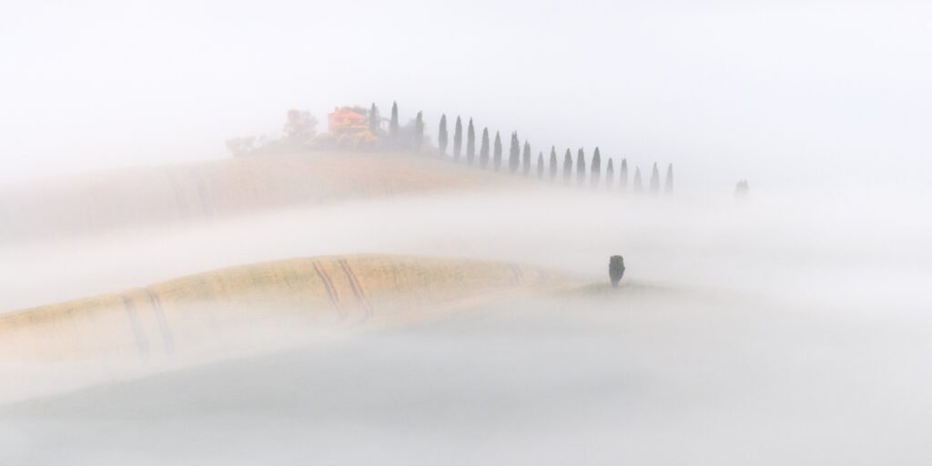 Toscana nella nebbia – sanfte Hügellandschaft der Toskana im Morgennebel vom Nature Photographer of the Year.