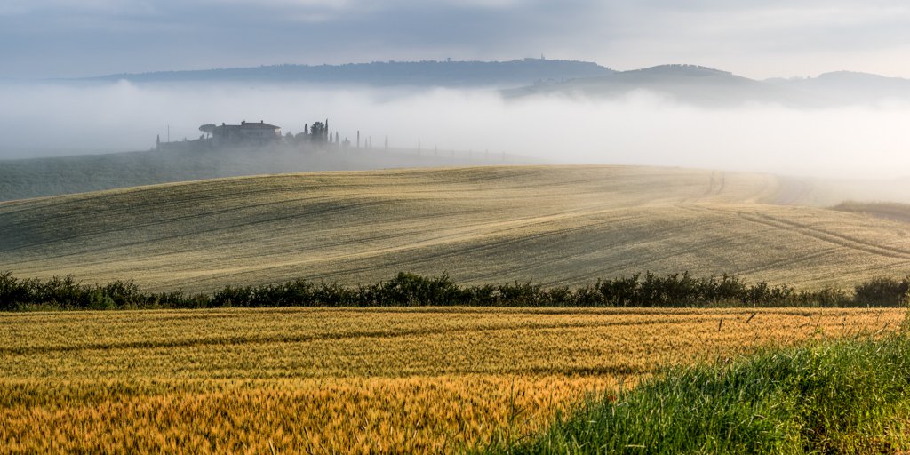 Das Panorama-Wandbild Toskanische Felder im Format 2:1 über einem Bett im Schlafzimmer für eine beruhigende Atmosphäre.