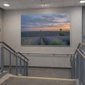 2 Bäume Das Wandbild 2 Bäume im 3:2 Format als beruhigender und weitläufiger Blickfang an der hohen Wand eines modern gestalteten, hellen Treppenhauses.