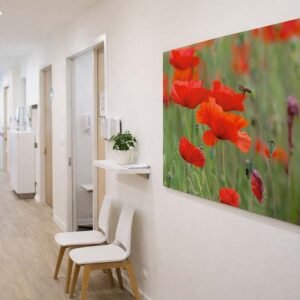 Das Wandbild Biene im Anflug im 3:2 Format als belebendes und natürliches Kunstwerk im Gang einer modernen Arztpraxis.