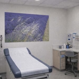 Das Wandbild Filigran im 3:2 Format an der Wand eines Sprechzimmers schafft eine beruhigende und natürliche Atmosphäre für Patientengespräche.