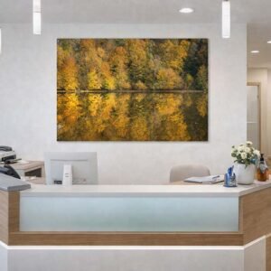 Das Wandbild Herbstspiegel im Empfangsbereich einer Arztpraxis schafft durch seine warmen Farben und die beruhigende Symmetrie eine entspannte Atmosphäre für Patienten.