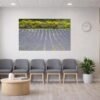 Das Wandbild Lavendel und Ginster im Panorama-Format schafft im Wartezimmer eine farbenfrohe und zugleich entspannende Atmosphäre.