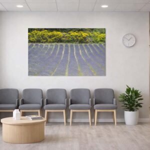 Das Wandbild Lavendel und Ginster im Panorama-Format schafft im Wartezimmer eine farbenfrohe und zugleich entspannende Atmosphäre.