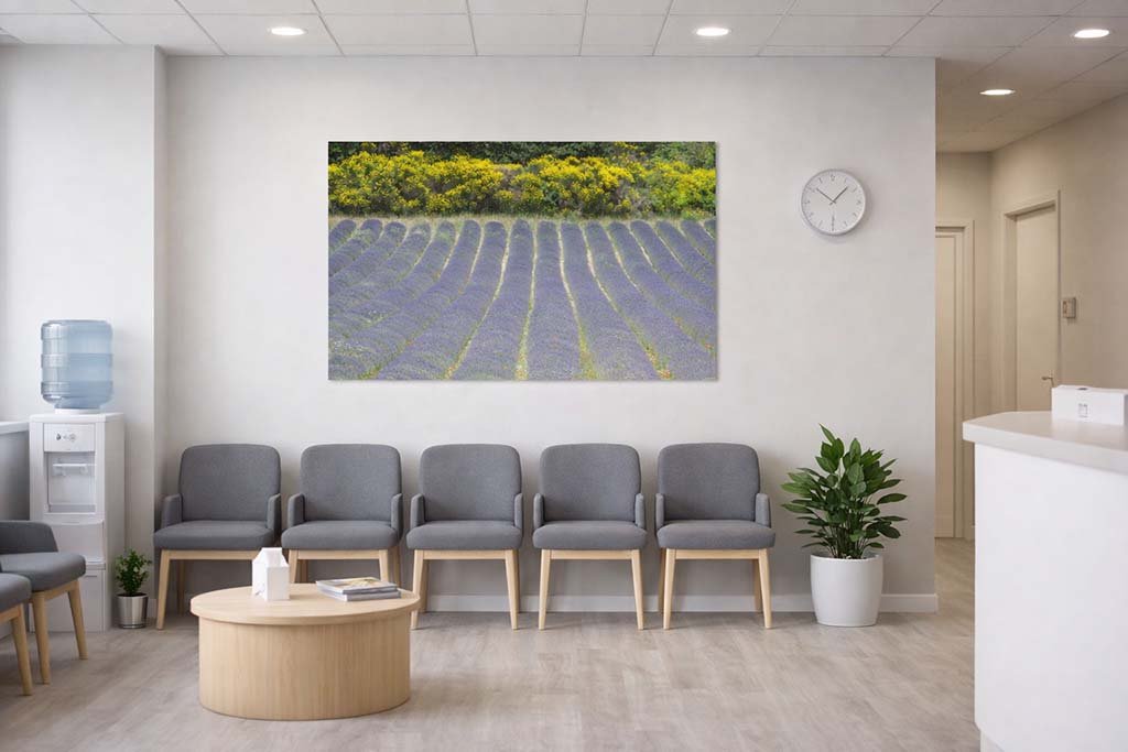 Das Wandbild Lavendel und Ginster im Panorama-Format schafft im Wartezimmer eine farbenfrohe und zugleich entspannende Atmosphäre.