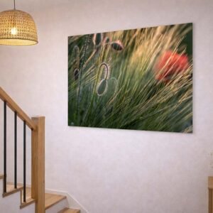 Das Wandbild Mohn im Gras im 3:2 Format als natürlicher und warmer Farbakzent an der Wand eines hellen, modern gestalteten Treppenhauses.