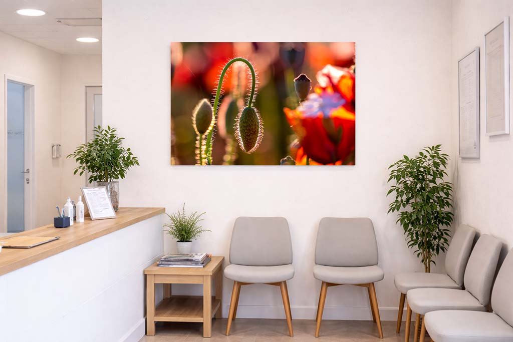Das Wandbild Mohnflaum im 3:2 Format als detailreicher und beruhigender Natur-Blickfang im Empfangsbereich einer modernen Arztpraxis.
