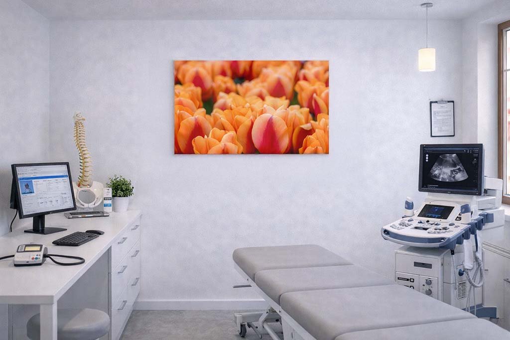 Das Wandbild Orange Tulpen im 3:2 Format als belebender und freundlicher Farbakzent an der Wand eines hellen Behandlungszimmers.