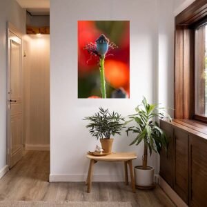 Das Wandbild Perfekte Mohnfrucht im 3:2 Format als vertikaler, kunstvoller Blickfang im hellen Flur eines modernen Wohnhauses.