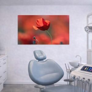 Das Wandbild Poppie im 3:2 Format als beruhigender und ästhetischer Farbakzent an der Wand einer modern eingerichteten Zahnarztpraxis.