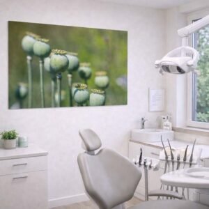 Das Wandbild Reifer Mohn im 3:2 Format als beruhigender und natürlicher Blickfang an der Wand in einem hellen, modern gestalteten Wartezimmer einer Zahnarztpraxis.