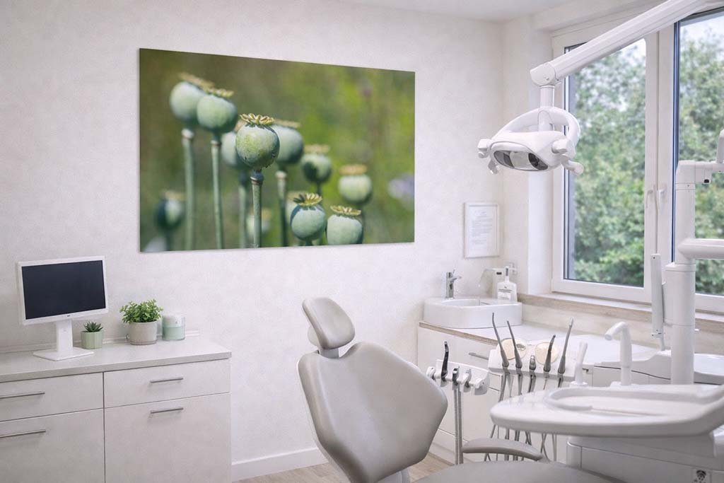 Das Wandbild Reifer Mohn im 3:2 Format als beruhigender und natürlicher Blickfang an der Wand in einem hellen, modern gestalteten Wartezimmer einer Zahnarztpraxis.