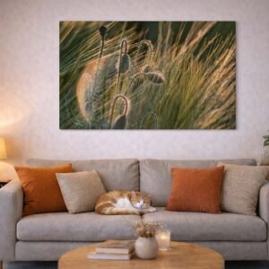 Das Wandbild Später Mohn im 3:2 Format als beruhigender und warmer Blickfang an der Wand eines gemütlich und modern eingerichteten Wohnzimmers.