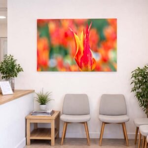 Das Wandbild Tulpen im 3:2 Format als energetischer und freundlicher Farbakzent im Empfangsbereich einer modernen Arztpraxis.