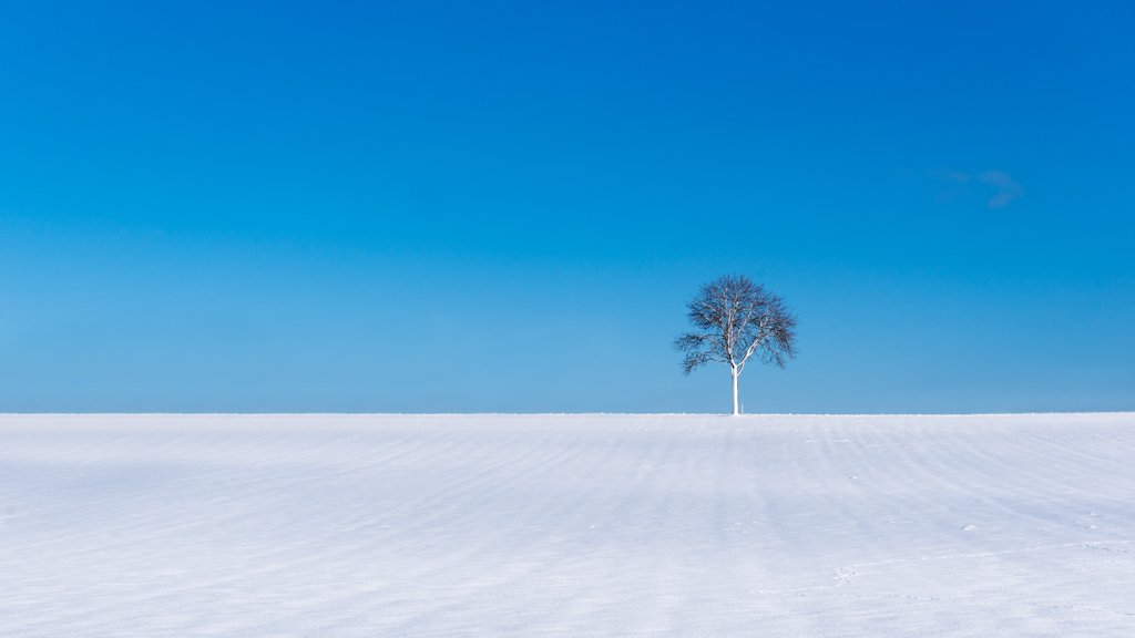 Wandbild "Winterbaum": Ein einzelner, verschneiter Baum in einer minimalistischen Winterlandschaft unter blauem Himmel.
