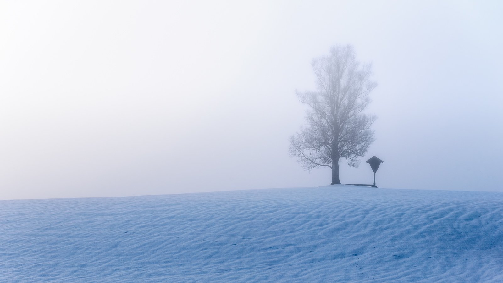 Einsamer Baum im Winternebel bei Kaufbeuren – Minimalistisches Praxisbild für eine ruhige Atmosphäre.